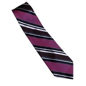 Siena Collezione Iridescente Striped Silk Neck Tie